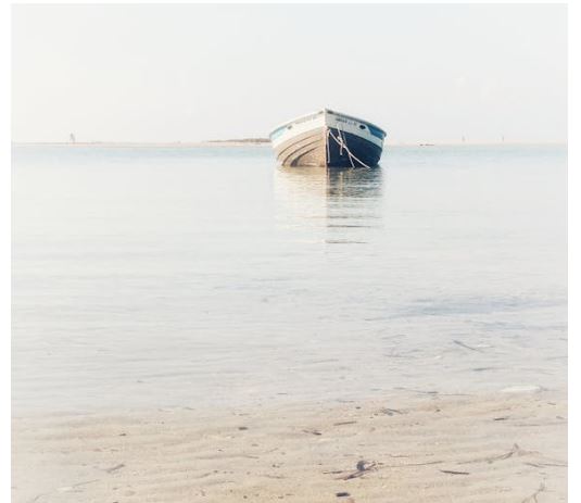 Types of Marine Losses